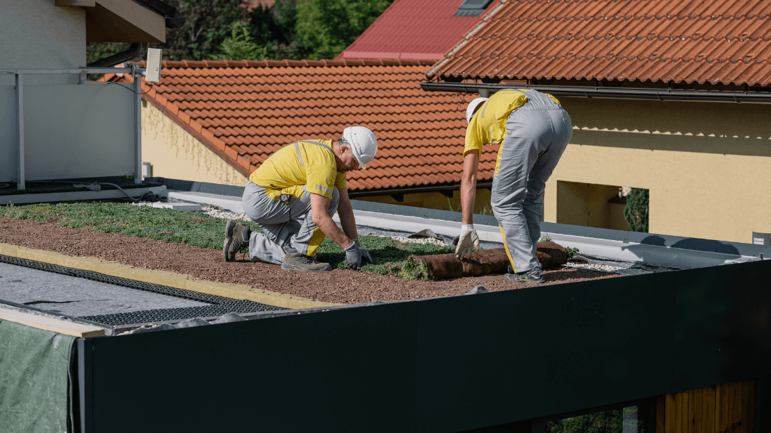 Montážní návod: Jak na zelenou střechu