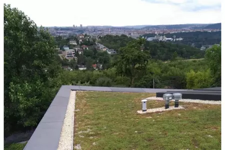 Zelená střecha roku 2018