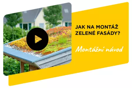Jak na montáž zelené fasády?
