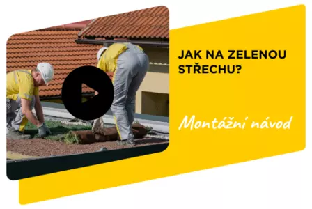 Jak na zelenou střechu