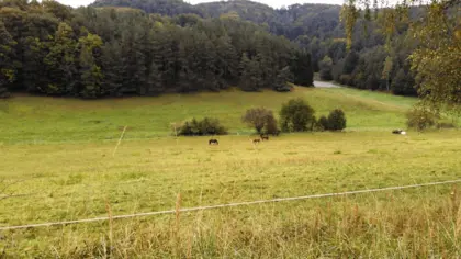 Kokořínsko - dobrovolnické víkend