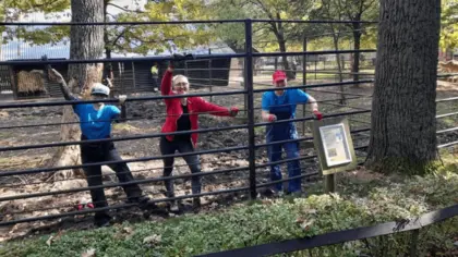 Dobrovolníci v Hodonínské ZOO