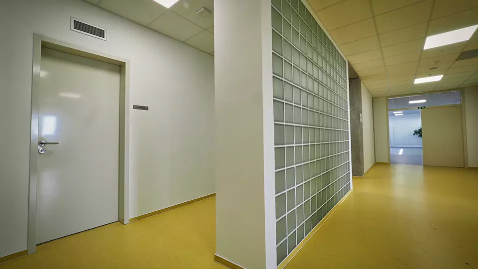 ZŠ Kněžmost