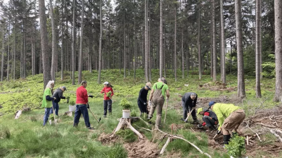 Dobrovolnický víkend v Brdech