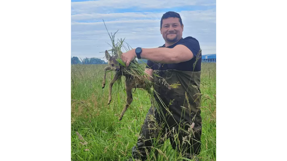 Záchrana srnčat v Častolovicích